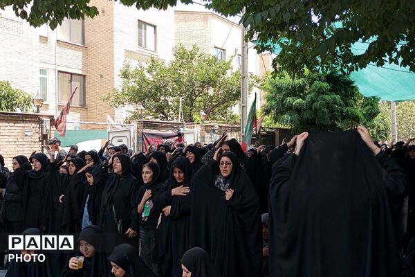 تاسوعای کهنز در سوگِ دلدادۀ حضرت ابوالفضل (ع)؛ یازده سال بی‌ شهید « مصطفی صدرزاده»