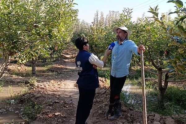 روستای شیرآباد سملقان؛ قطب تولید میوه‌های باکیفیت