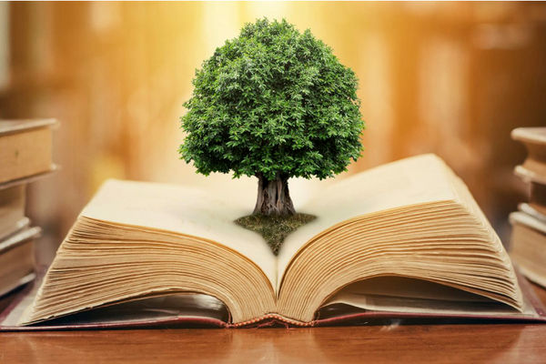 هدف اصلی جشنواره «برگی از دانش» ترویج فرهنگ کتابخوانی است