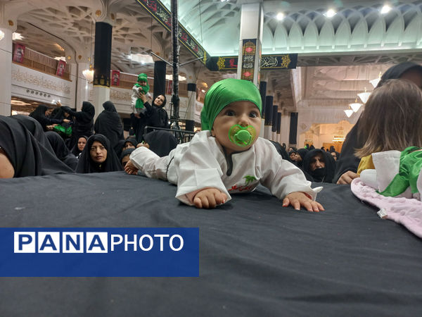 همایش شیرخوارگان حسینی(ع) در قم - 2