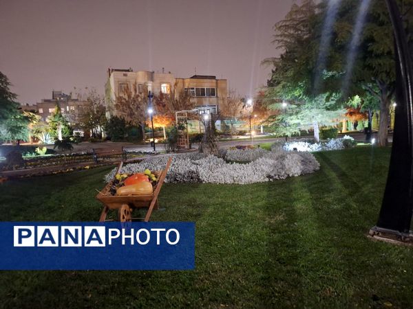 زیبایی باغ گل‌های مشهد در پاییز
