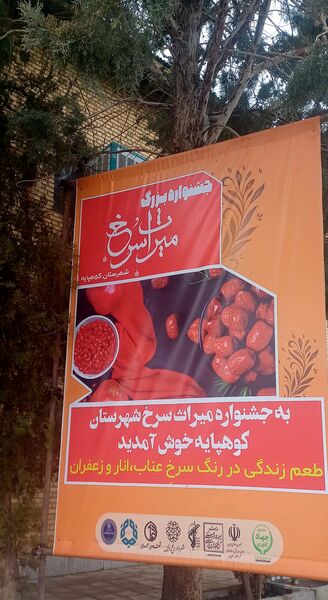 جشنواره «میراث سرخ»: جشنواره‌ای برای معرفی هویت و محصولات کشاورزی شهرستان کوهپایه