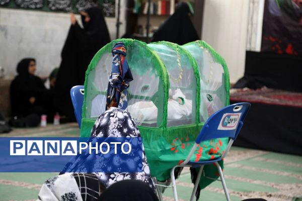 همایش شیرخوارگان حسینی در مشهداردهال کاشان