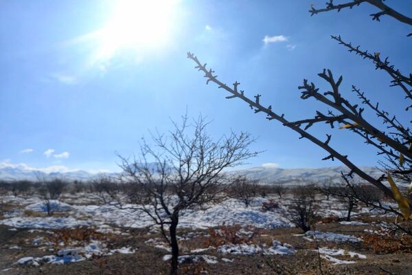 رد پای برف در باغات نهضت آباد اصفهان