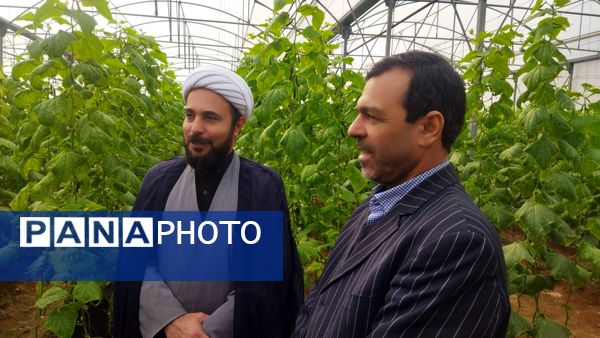 بازدید از گلخانه نمونه خسروشاه در هفته بسیج