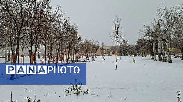 برف بی‌پایان، شهرستان بن را در آغوش سپیدی برد