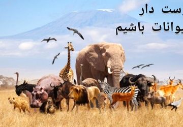 عجایب خلقت در دنیای حیوانات 