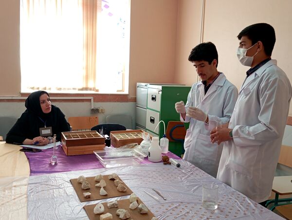 ۳۰ تیم دانش‌آموزی در مرحله استانی بیست و سومین دوره از مسابقات آزمایشگاهی به رقابت پرداختند