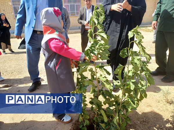 نهال‌های مهر در خاک دبستان ام‌السلمه جاجرم
