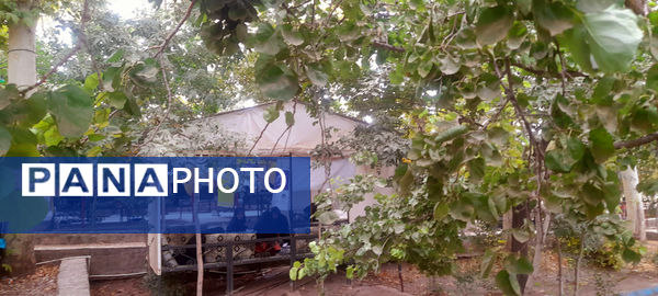 اردوی پانا و مرحله دوم لیگ دانش‌آموزی جهاد تبیین «جت» در کهک قم