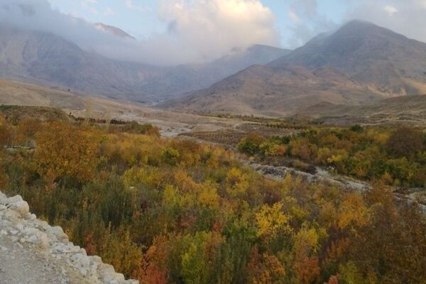 تصاویر زیبا از پاییز رنگارنگ در شهر دار السادات بار نیشابور 