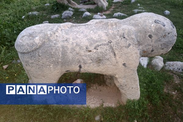 قبرستانی تاریخی و سرسبز به قدمت چند صد ساله در فارس