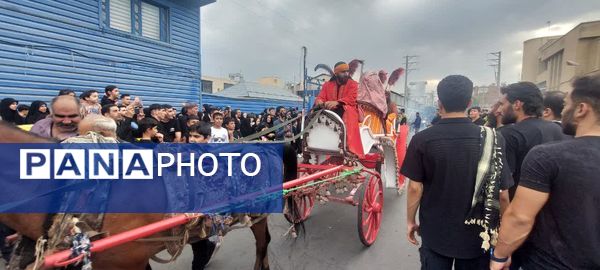 استقبال عزاداران حسینی از کاروان نمادین اسرای کربلا در قم