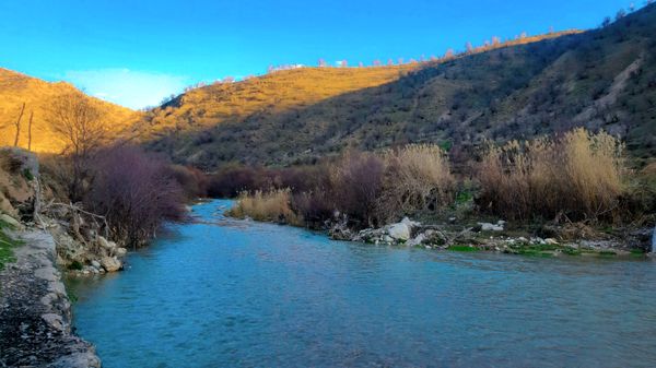 طبیعت بهاری، فرصتی برای سرزندگی روح 