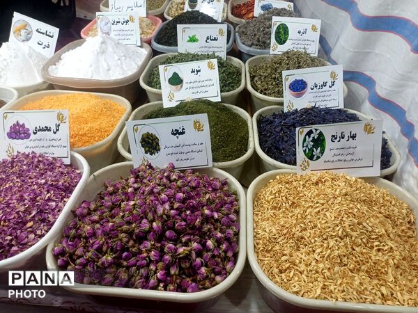 نمایشگاه گل و گیاه و سوغات در همدان
