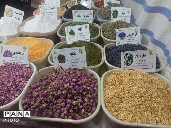 نمایشگاه گل و گیاه و سوغات در همدان