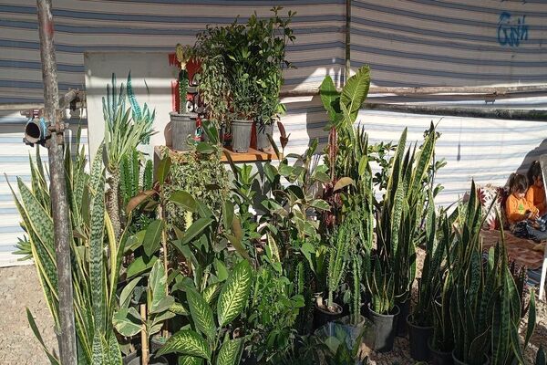 آغاز مراسم روز شهر بار با افتتاح نمایشگاه محصولات محلی و صنایع دستی