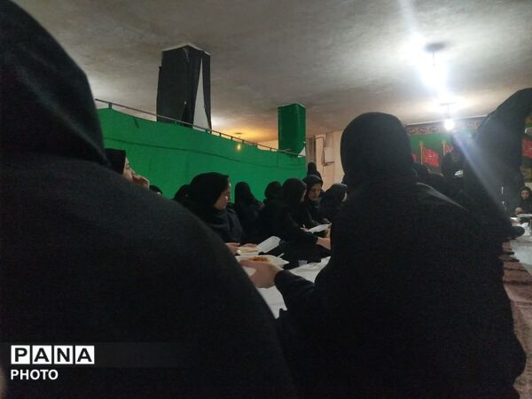 سوگواری عزاداران حسینی در نیر