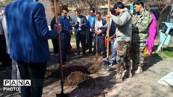 کاشت نهال در مدرسه خدیجه کبری شلمزار