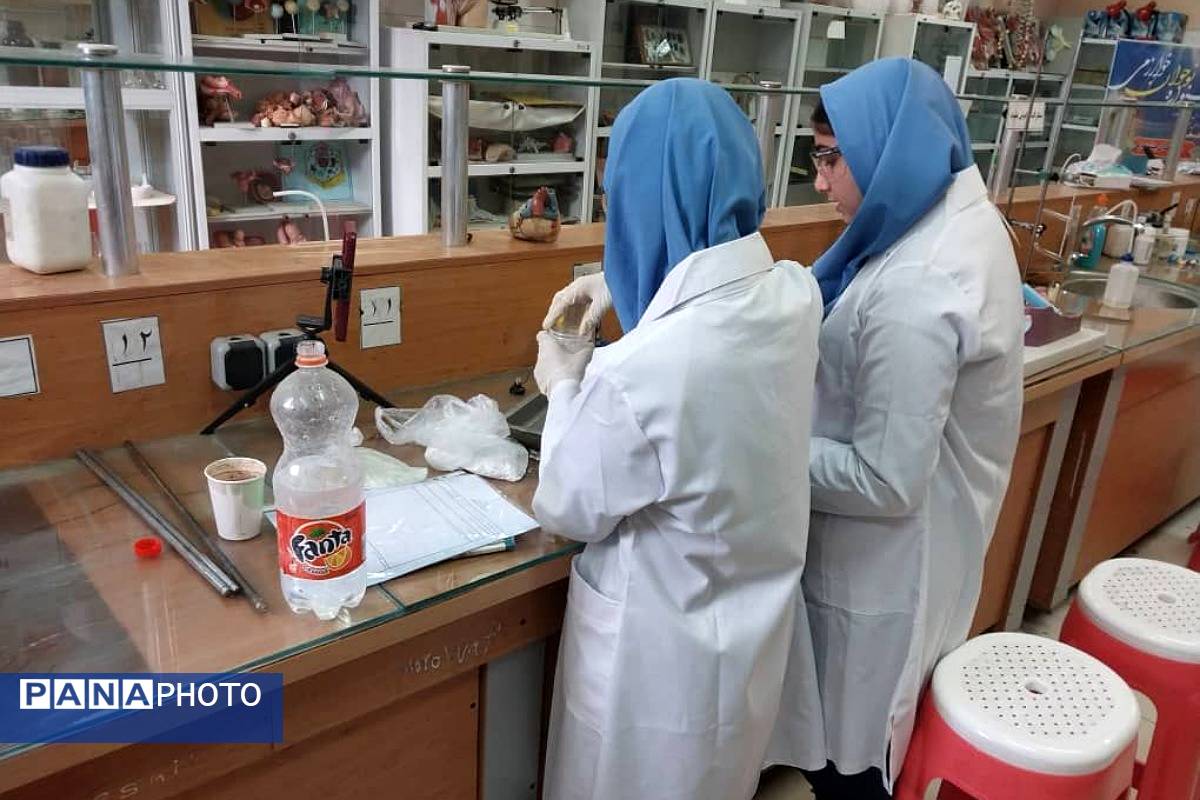 برگزاری مرحله استانی محور علوم آزمایشگاهی به صورت غیرحضوری در ملارد با حضور ۶ تیم برتر