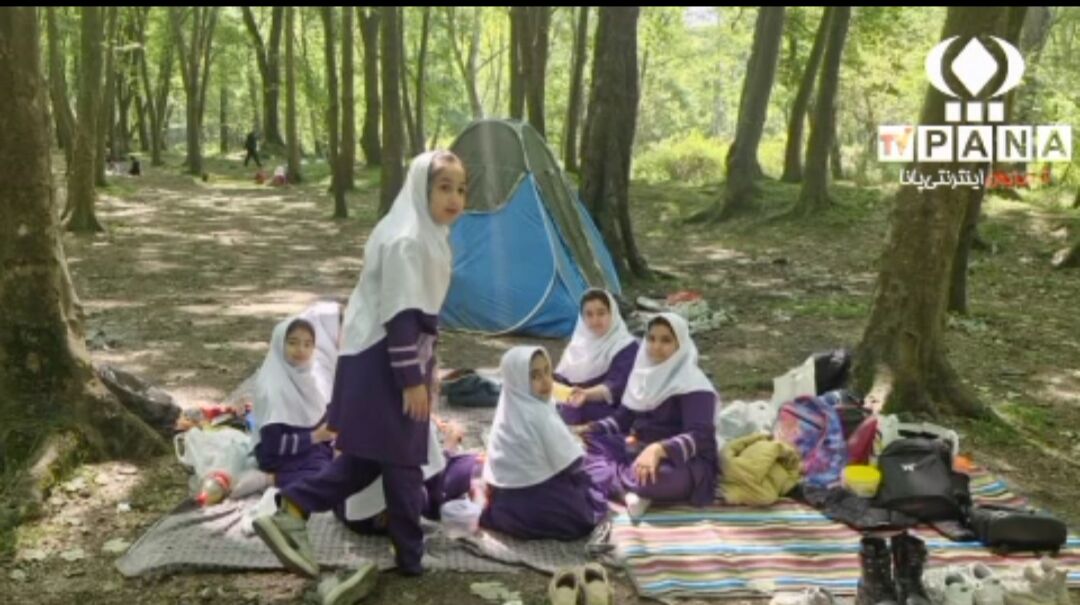 اجرای اولین طرح ملی «چوبان؛ چوب نگهبان» در محمودآباد