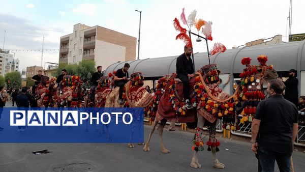 نقش‌آفرینی هنروران تعزیه در کاروان دخیل العباس(ع)