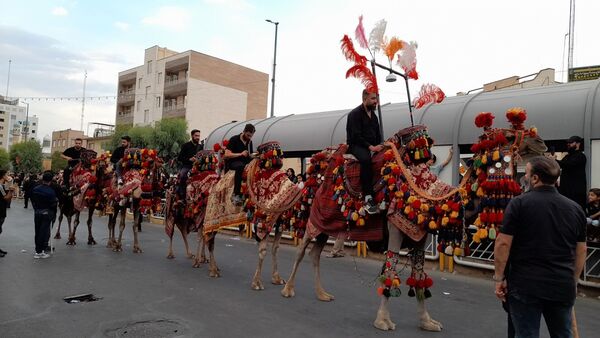 نقش‌آفرینی هنروران تعزیه در کاروان دخیل العباس(ع)