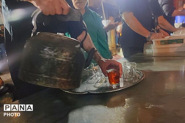 تپش‌های سبزِ نسل جدید؛ روایت شب‌های عشق و معنویت