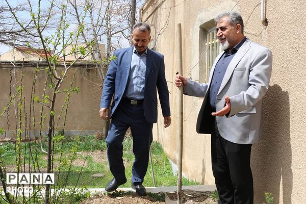 پویش کاشت نهال امید  