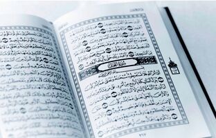 بیانیه کمیسیون توسعه آموزش عمومی قرآن کشور در پی هتک حرمت به ساحت مقدس قرآن کریم
