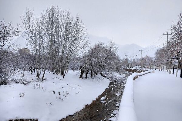 برف بارید و خدا پاکی خود را به شهر زیبایی بار هدیه کرد
