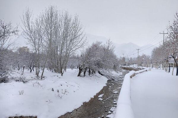 برف بارید و خدا پاکی خود را به شهر زیبایی بار هدیه کرد