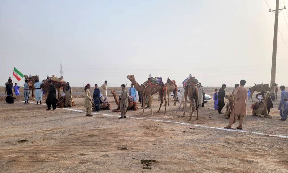 درخشش تیم شتردوانی کرمان در مسابقات قهرمانی کشور