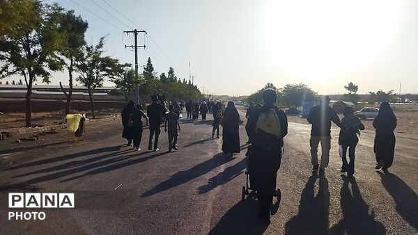 قاب هایی از عشق به امام رئوف-۱