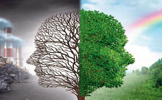 خبرنگاران پانا ناجیان محیط زیست می‌شوند