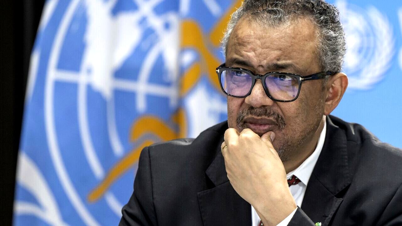 ۷۵ درصد تیم‌های سازمان ملل از ورود به غزه منع شده‌اند