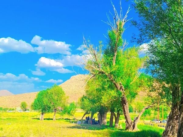 طبیعت شهر سودجان در بهار