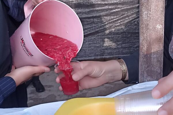شور عزای  تاسوعای حسینی در لپویی 