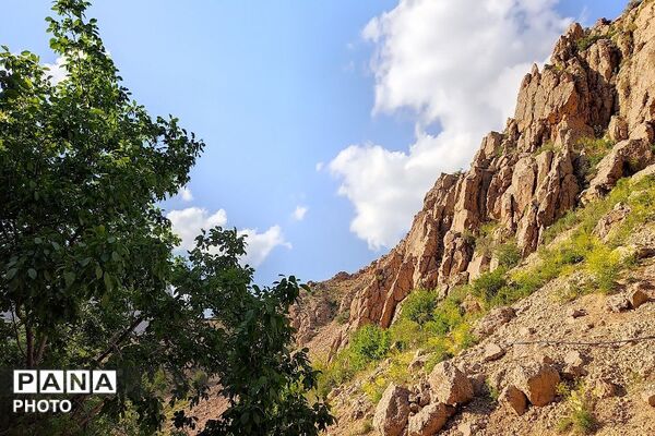 کوه های شهر بار ذخیره‌گاه گیاهان ارزشمند و کم نظیر دارویی 