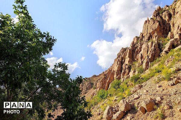 کوه های شهر بار ذخیره‌گاه گیاهان ارزشمند و کم نظیر دارویی 