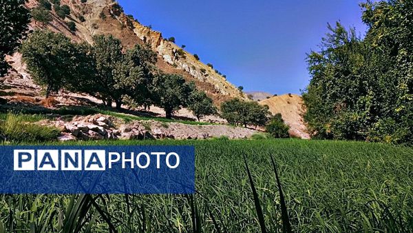طبیعت روستای بارز، طبیعتی زیبا در دل استان چهارمحال‌وبختیاری 