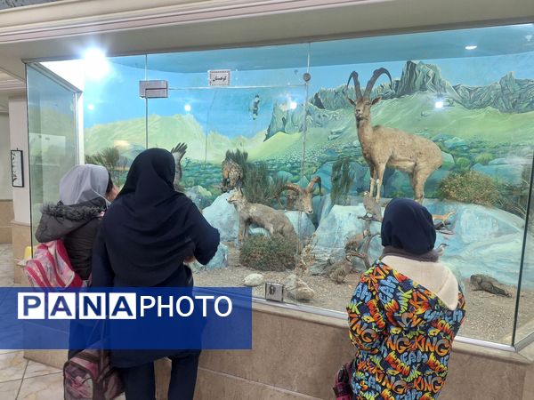 اردوی علمی ،تفریحی دانش آموزان مدرسه مهندس رحمانی فرد در پژوهش سرای علامه طباطبایی