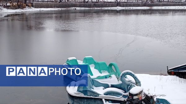 گرداب بن زیر چتر سپید برف