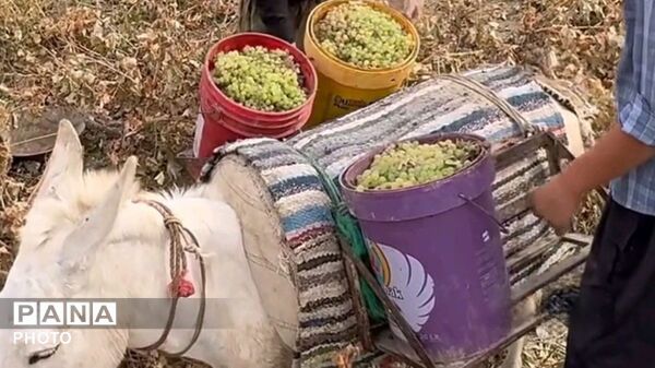 سفر به کهن‌دیار هزاوه؛ چشم‌اندازی از تاریخ