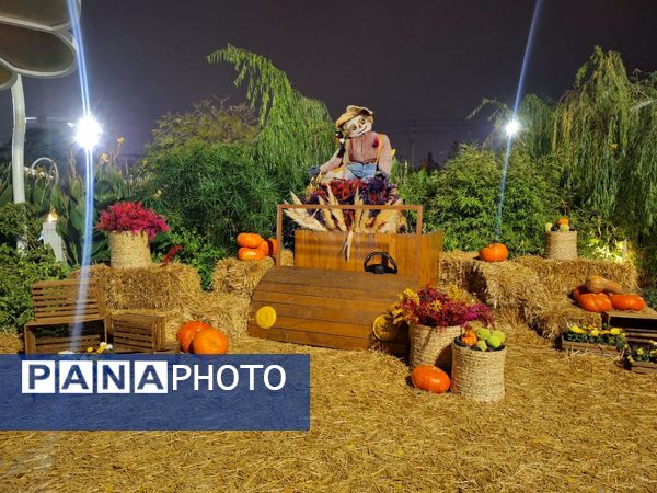 زیبایی باغ گل‌های مشهد در پاییز