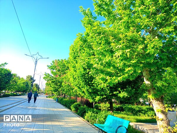  بزرگترین پارک خطی شرق کشور سرسبز تر از همیشه