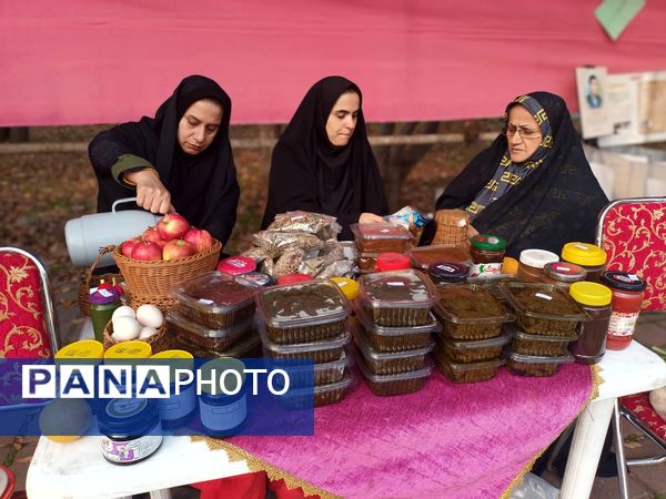 نمایشگاه دست سازه‌ها، نمایش حضور سوادآموزان