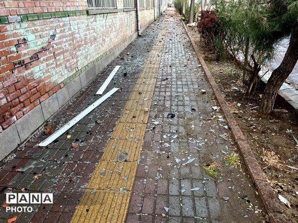 نیمکت‌های خالی، روایت‌های جهانی