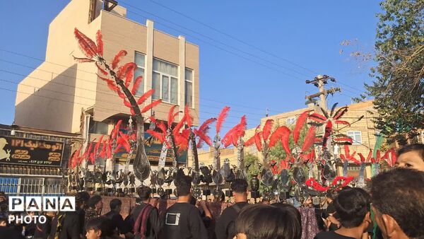 نخل برداری و علم گردانی در روز عاشورا - یزد
