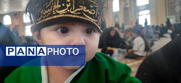 مراسم شیرخوارگان حسینی در شهرستان ایلام